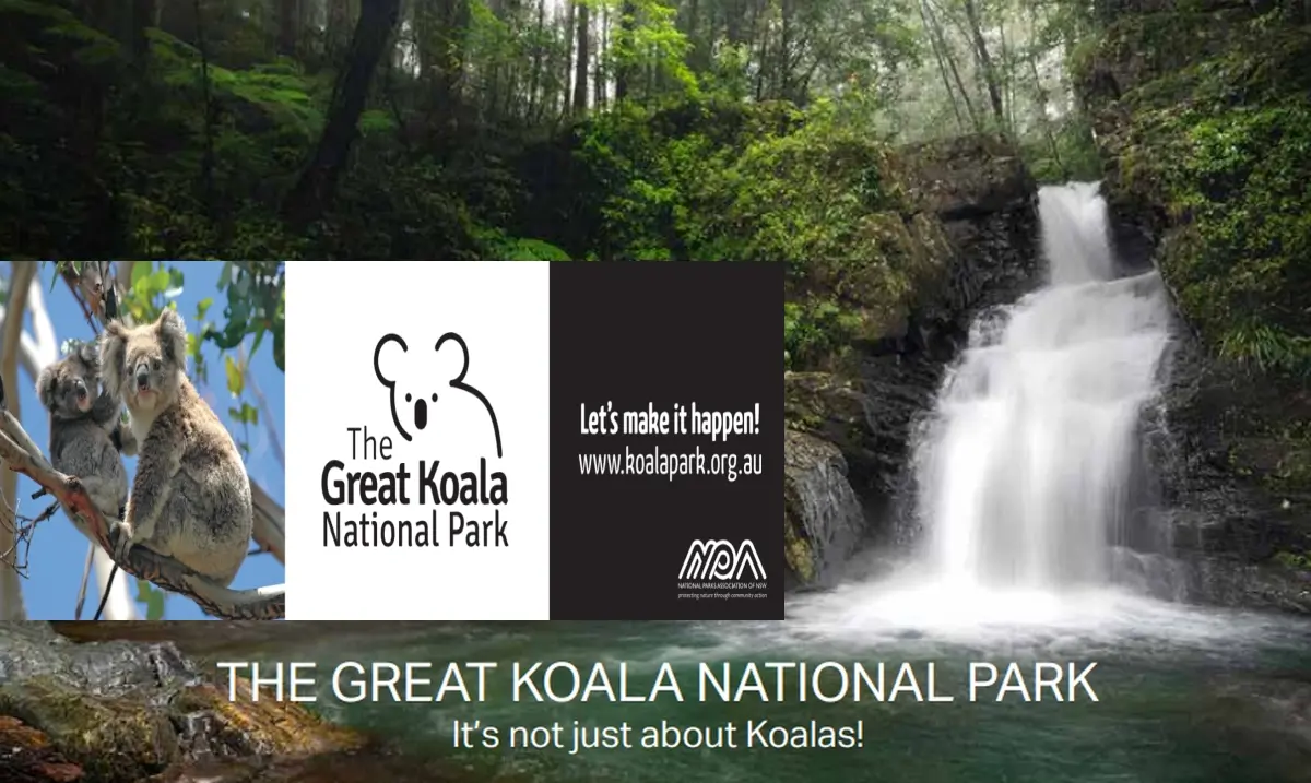 Featured image for “Help Support Action on the Great National Koala Park”