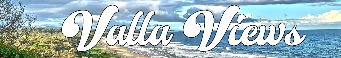 Valla Views VBCA newsletter