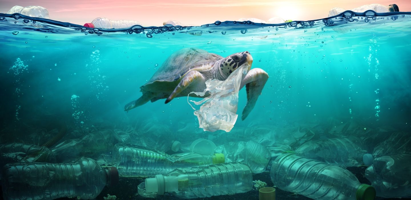 Featured image for “Recycling and Container Returns in our community”